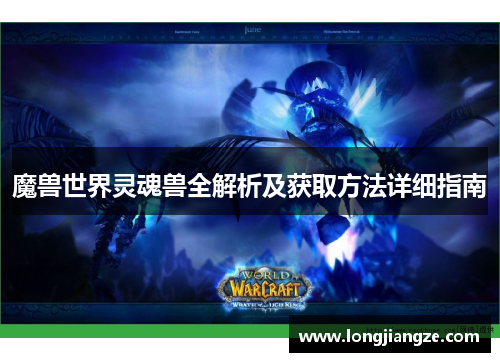 魔兽世界灵魂兽全解析及获取方法详细指南