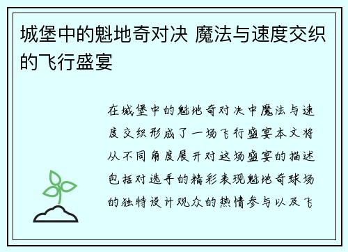 城堡中的魁地奇对决 魔法与速度交织的飞行盛宴